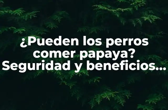 ¿pueden los Perros Comer Papaya? Seguridad y Beneficios para Tu Mascota