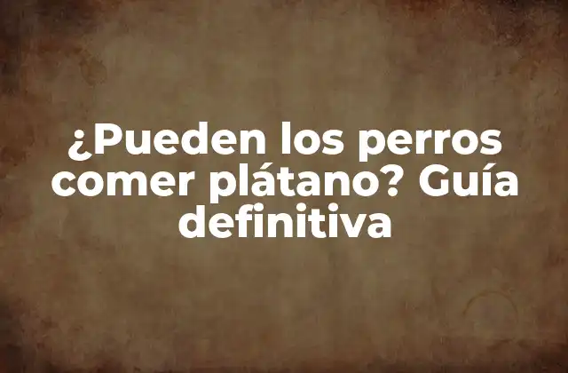 ¿pueden los Perros Comer Plátano? Guía Definitiva