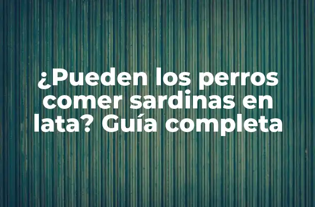 Los beneficios nutricionales de las sardinas en lata para perros