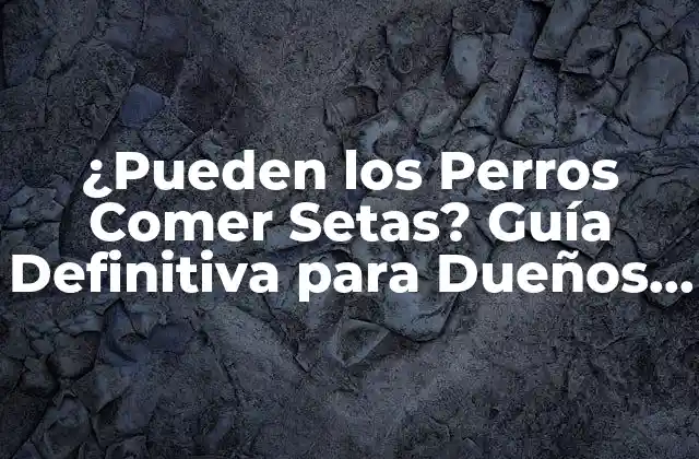¿pueden los Perros Comer Setas? Guía Definitiva para Dueños de Perros