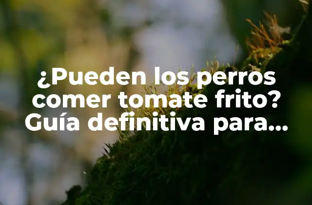 ¿pueden los Perros Comer Tomate Frito? Guía Definitiva para Propietarios de Perros