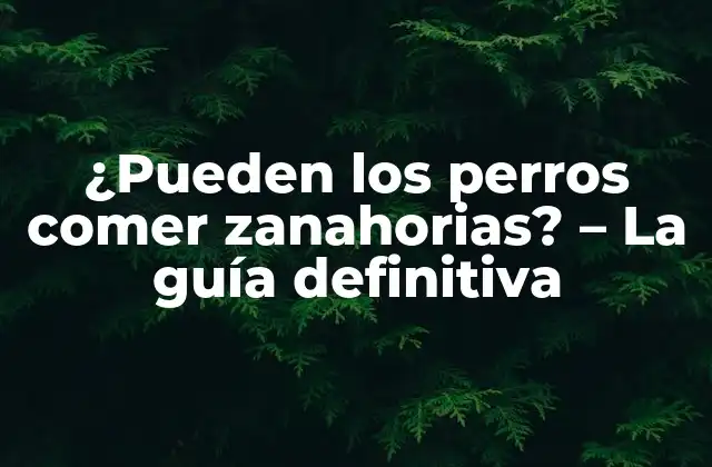¿pueden los Perros Comer Zanahorias? – la Guía Definitiva