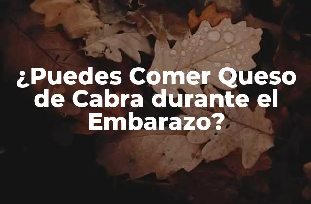 ¿Qué es el Queso de Cabra y Cómo se Produce?