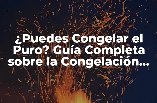 ¿puedes Congelar el Puro? Guía Completa sobre la Congelación de Puros