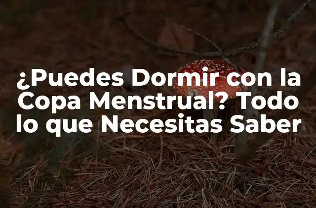 Cómo Funciona la Copa Menstrual