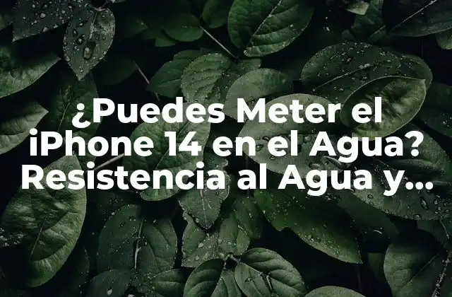¿puedes Meter el Iphone 14 en el Agua? Resistencia Al Agua y Características de Impermeabilidad