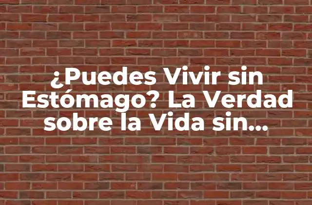 ¿puedes Vivir sin Estómago? la Verdad sobre la Vida sin Estómago