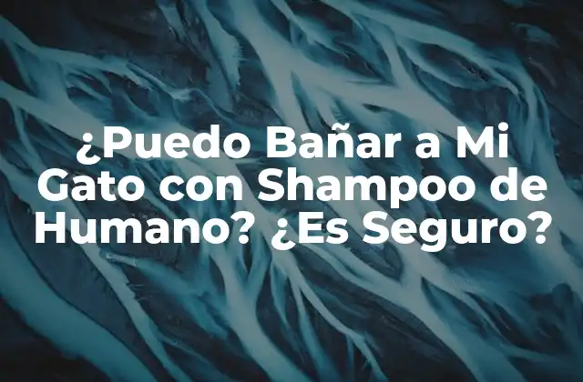 ¿puedo Bañar a Mi Gato con Shampoo de Humano? ¿es Seguro?