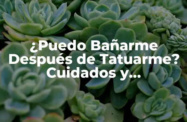 ¿puedo Bañarme Después de Tatuarme? Cuidados y Precauciones 2 ¿Por Qué es Importante Cuidar tu Tatuaje?