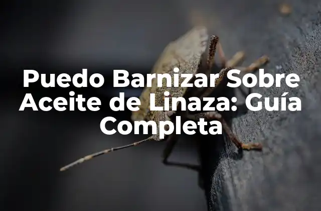 Puedo Barnizar sobre Aceite de Linaza: Guía Completa