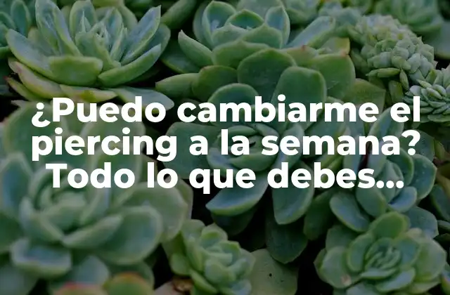¿puedo Cambiarme el Piercing a la Semana? Todo Lo que Debes Saber
