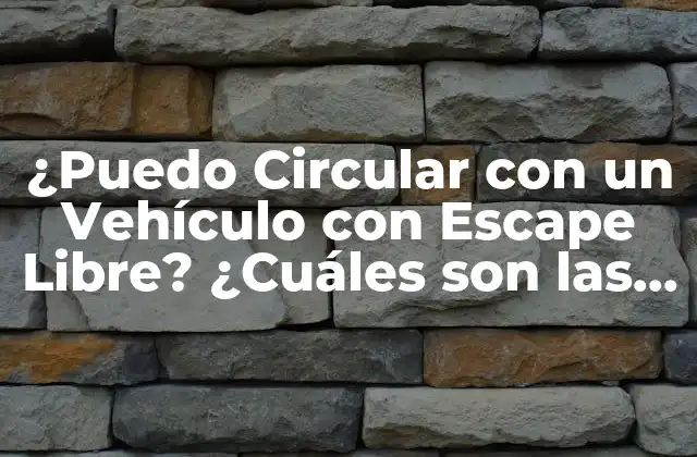 ¿puedo Circular con un Vehículo con Escape Libre? ¿cuáles Son las Consecuencias? 2 ¿Qué es un Vehículo con Escape Libre?