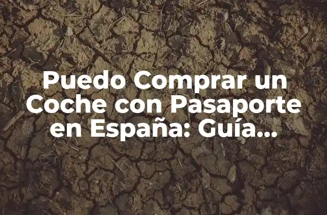 Puedo Comprar un Coche con Pasaporte en España: Guía Completa