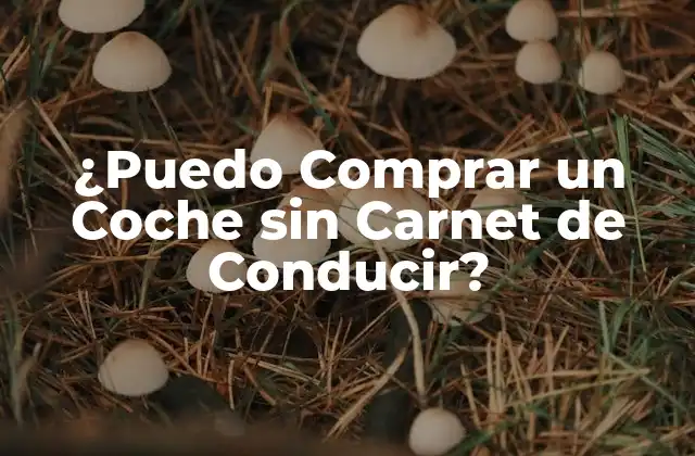 ¿Qué es un Carnet de Conducir y por qué es Importante?