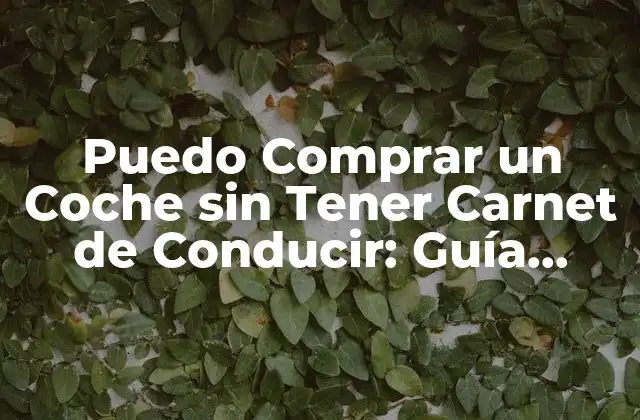 ¿Por qué Quieres Comprar un Coche sin Tener Carnet de Conducir?