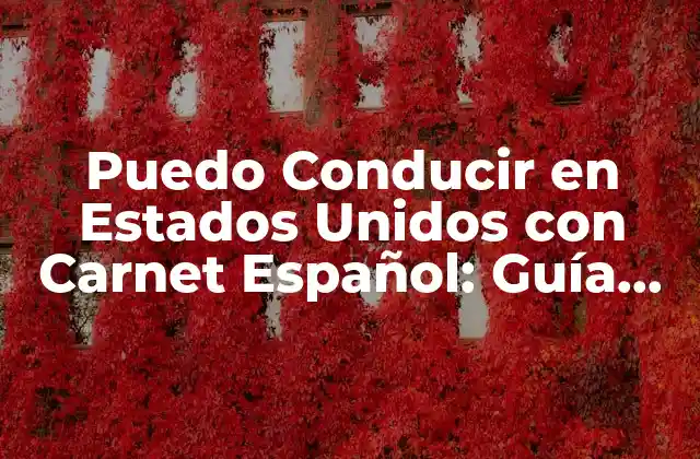 Puedo Conducir en Estados Unidos con Carnet Español: Guía Completa
