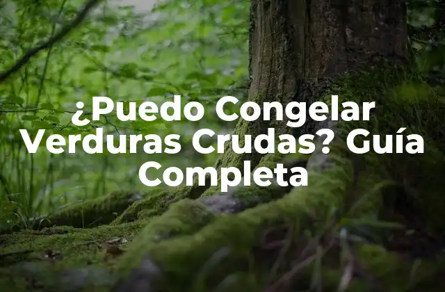 ¿puedo Congelar Verduras Crudas? Guía Completa