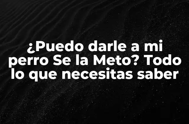 ¿puedo Darle a Mi Perro Se la Meto? Todo Lo que Necesitas Saber