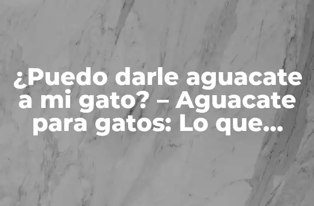 ¿puedo Darle Aguacate a Mi Gato? – Aguacate para Gatos: Lo que Necesita Saber