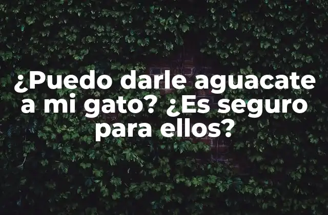 ¿puedo Darle Aguacate a Mi Gato? ¿es Seguro para Ellos?