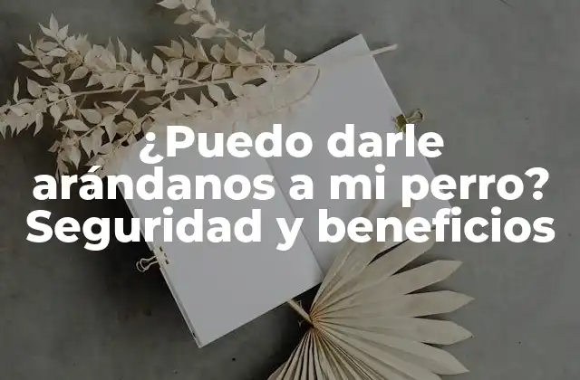 ¿puedo Darle Arándanos a Mi Perro? Seguridad y Beneficios