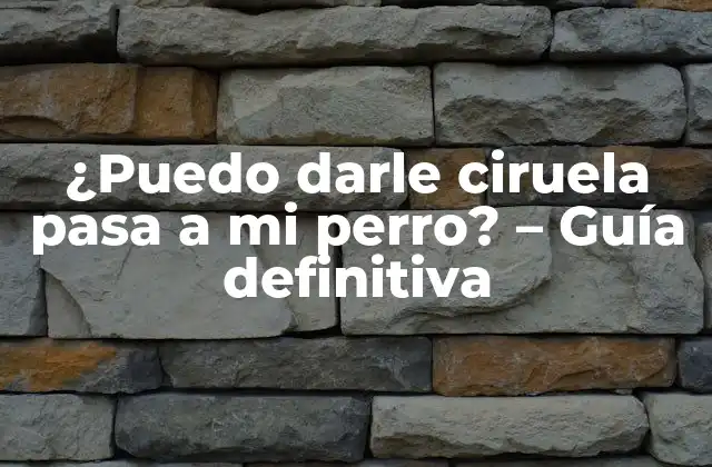 ¿puedo Darle Ciruela Pasa a Mi Perro? - Guía Definitiva 2 ¿Qué es la ciruela pasa y qué contiene?