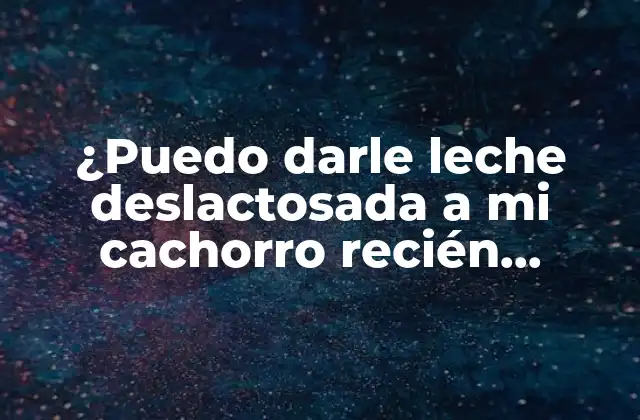 ¿puedo Darle Leche Deslactosada a Mi Cachorro Recién Nacido?
