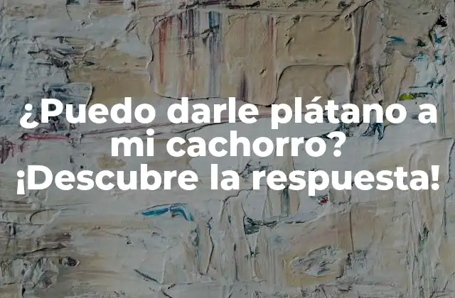 ¿puedo Darle Plátano a Mi Cachorro? ¡descubre la Respuesta!