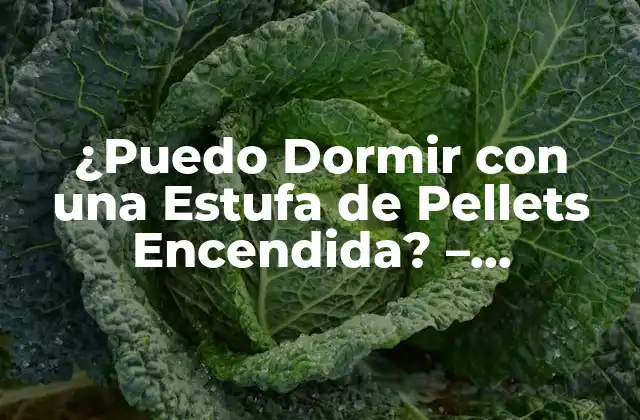 ¿puedo Dormir con una Estufa de Pellets Encendida? – Seguridad y Precauciones