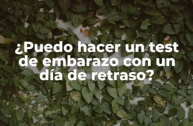 ¿puedo Hacer un Test de Embarazo con un Día de Retraso?