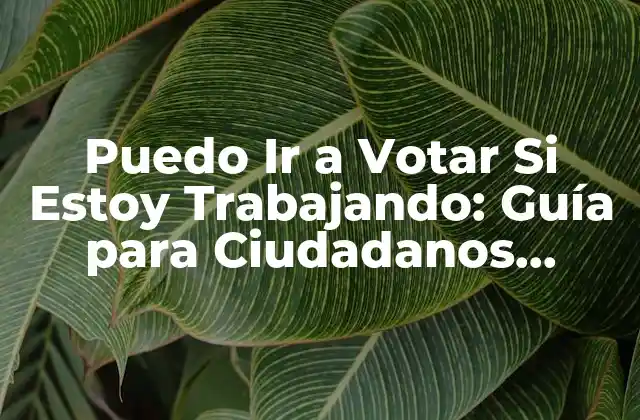 Puedo Ir a Votar Si Estoy Trabajando: Guía para Ciudadanos Ocupados
