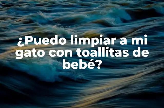 ¿puedo Limpiar a Mi Gato con Toallitas de Bebé?