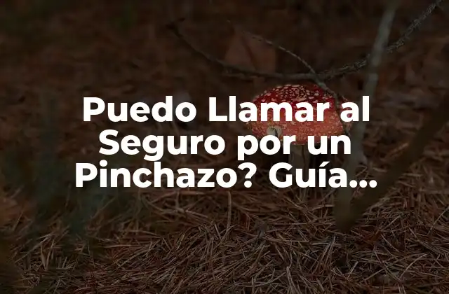 Puedo Llamar Al Seguro por un Pinchazo? Guía Completa
