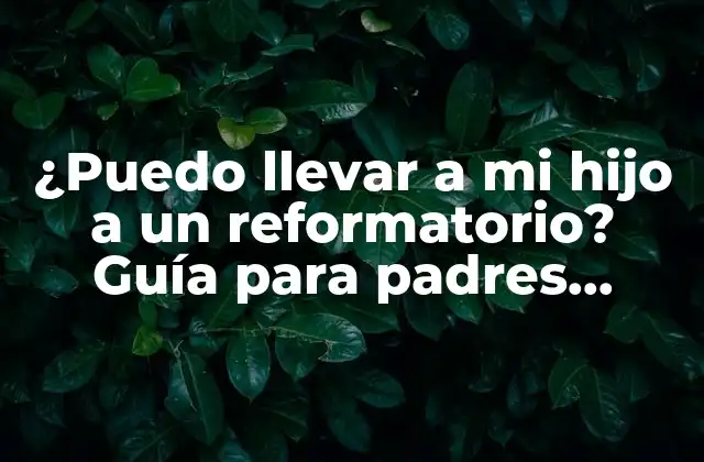 ¿puedo Llevar a Mi Hijo a un Reformatorio? Guía para Padres Preocupados