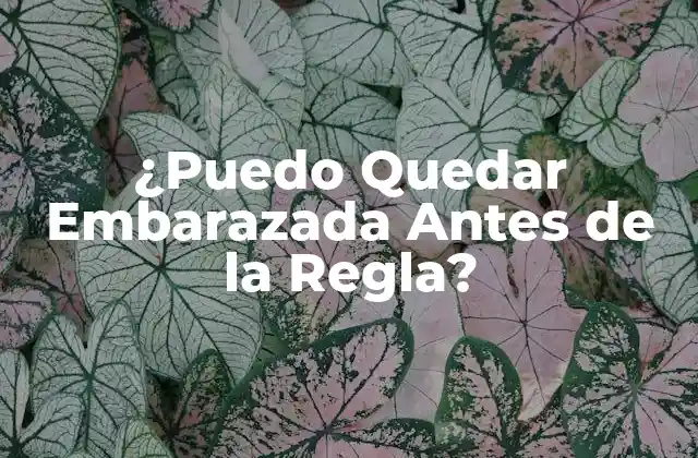 ¿puedo Quedar Embarazada Antes de la Regla?
