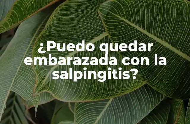 ¿puedo Quedar Embarazada con la Salpingitis?