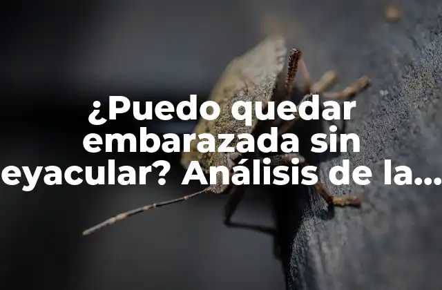 ¿puedo Quedar Embarazada sin Eyacular? Análisis de la Posibilidad