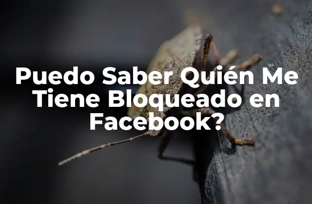 Puedo Saber Quién Me Tiene Bloqueado en Facebook?