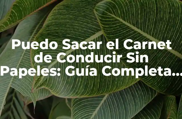 Puedo Sacar el Carnet de Conducir sin Papeles: Guía Completa y Actualizada