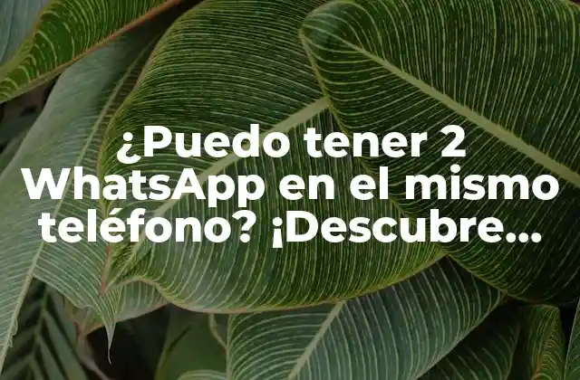 ¿puedo Tener 2 Whatsapp en el Mismo Teléfono? ¡descubre Cómo!