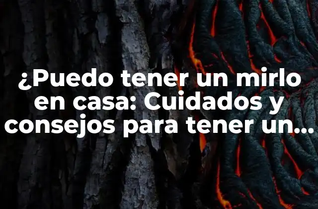 ¿puedo Tener un Mirlo en Casa: Cuidados y Consejos para Tener un Mirlo como Mascota