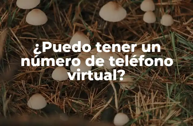 ¿puedo Tener un Número de Teléfono Virtual?
