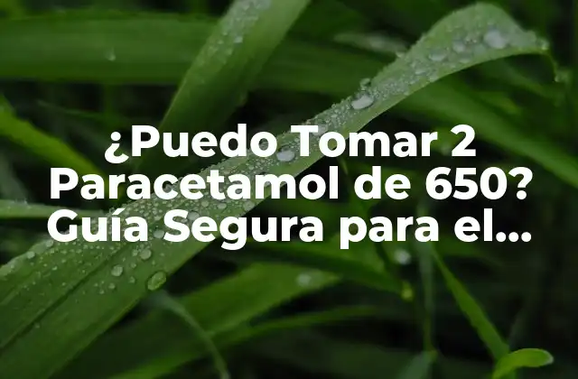 ¿puedo Tomar 2 Paracetamol de 650? Guía Segura para el Consumo de Paracetamol