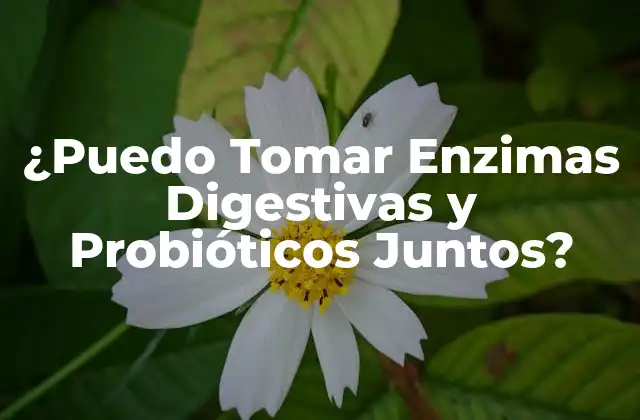 ¿puedo Tomar Enzimas Digestivas y Probióticos Juntos?