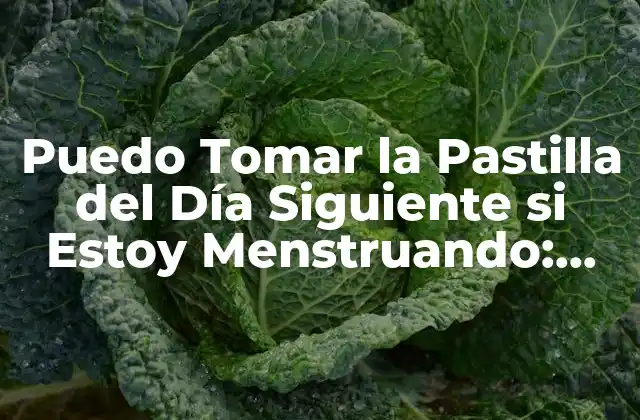 Puedo Tomar la Pastilla Del Día Siguiente Si Estoy Menstruando: Guía Completa