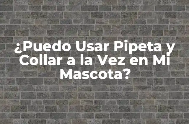 ¿puedo Usar Pipeta y Collar a la Vez en Mi Mascota?