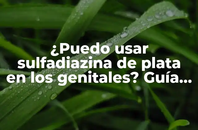 ¿puedo Usar Sulfadiazina de Plata en los Genitales? Guía Completa sobre Seguridad y Eficacia