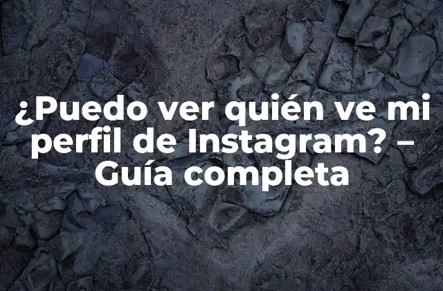 ¿puedo Ver Quién Ve Mi Perfil de Instagram? – Guía Completa