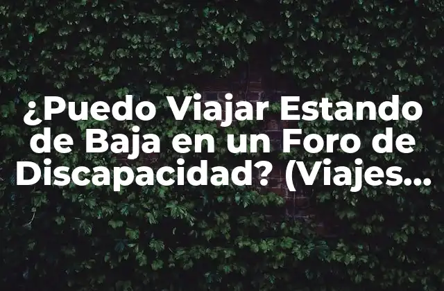 ¿puedo Viajar Estando de Baja en un Foro de Discapacidad? (viajes y Discapacidad)