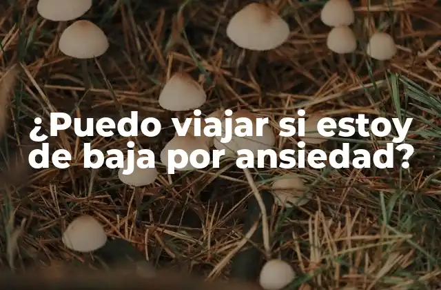 ¿puedo Viajar Si Estoy de Baja por Ansiedad? 2 ¿Qué es la baja por ansiedad?